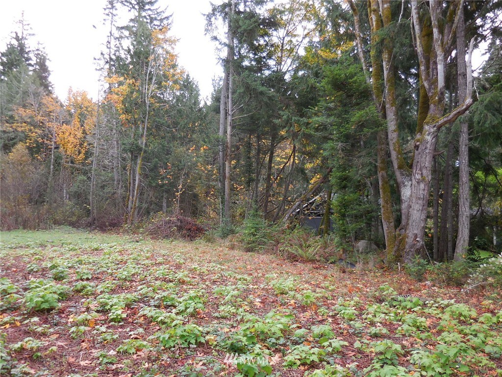 24405 Johnson Road Northwest Poulsbo, WA 98370 - Photo 4 of 10 Gallery Image 4