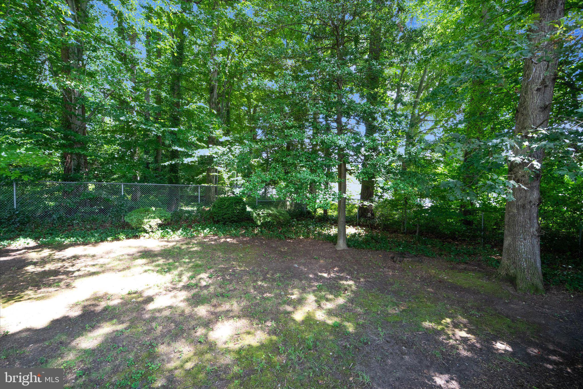 7403 Bath Street Springfield, VA 22150 - Photo 43 of 60 BACKS TO TREES