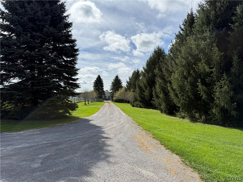 4881 Goff Road Smithfield, NY 13408 - Photo 3 of 37 Long private driveway