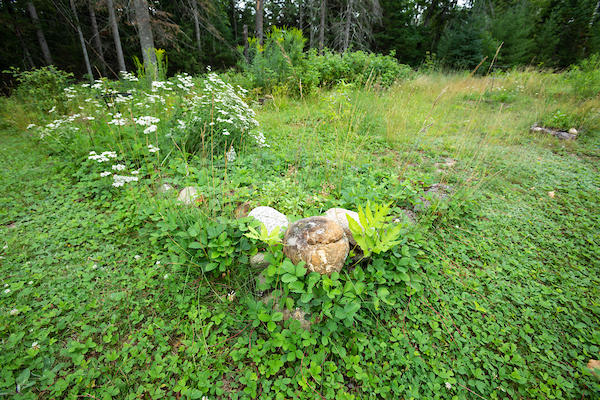 126 West Kingfield Road Kingfield, ME 04947 - Photo 45 of 61 Garden