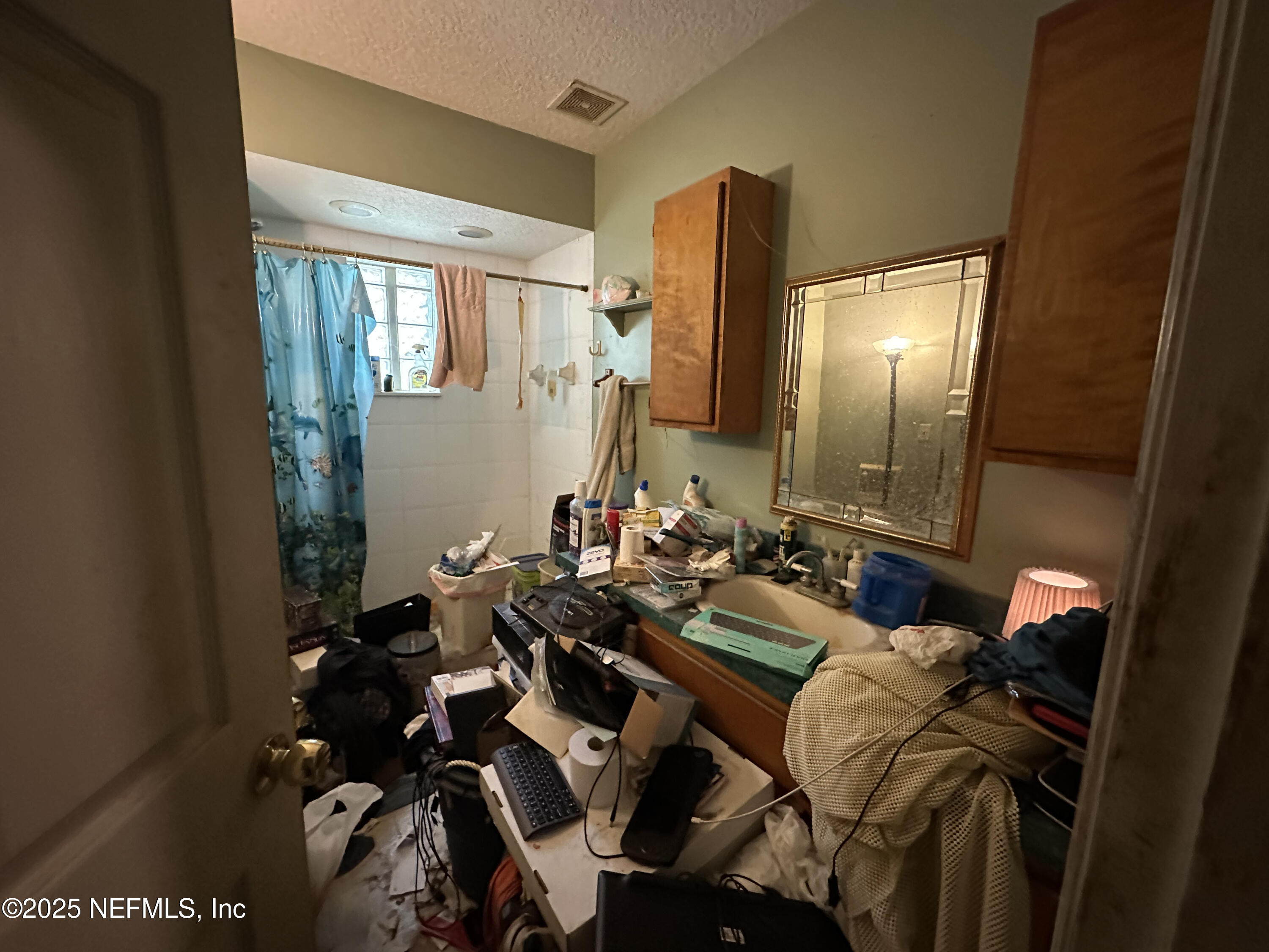 86011 John Street Yulee, FL 32097 - Photo 12 of 18 a bathroom with a sink mirror and vanity