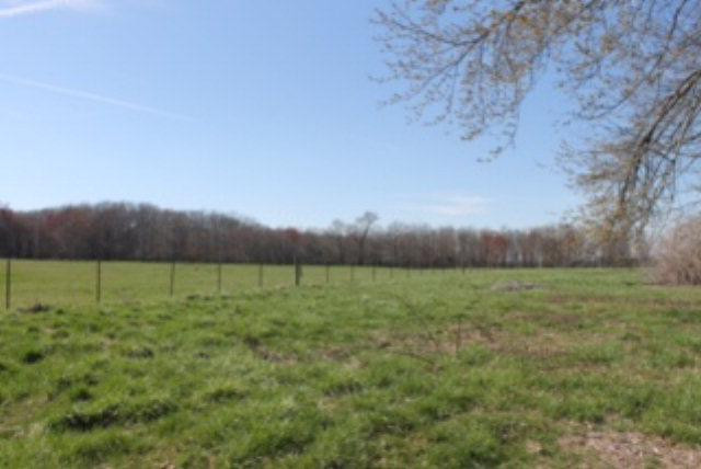 648 Bee Lick Road Brodhead, KY 40409 - Photo 15 of 30 Photo 15