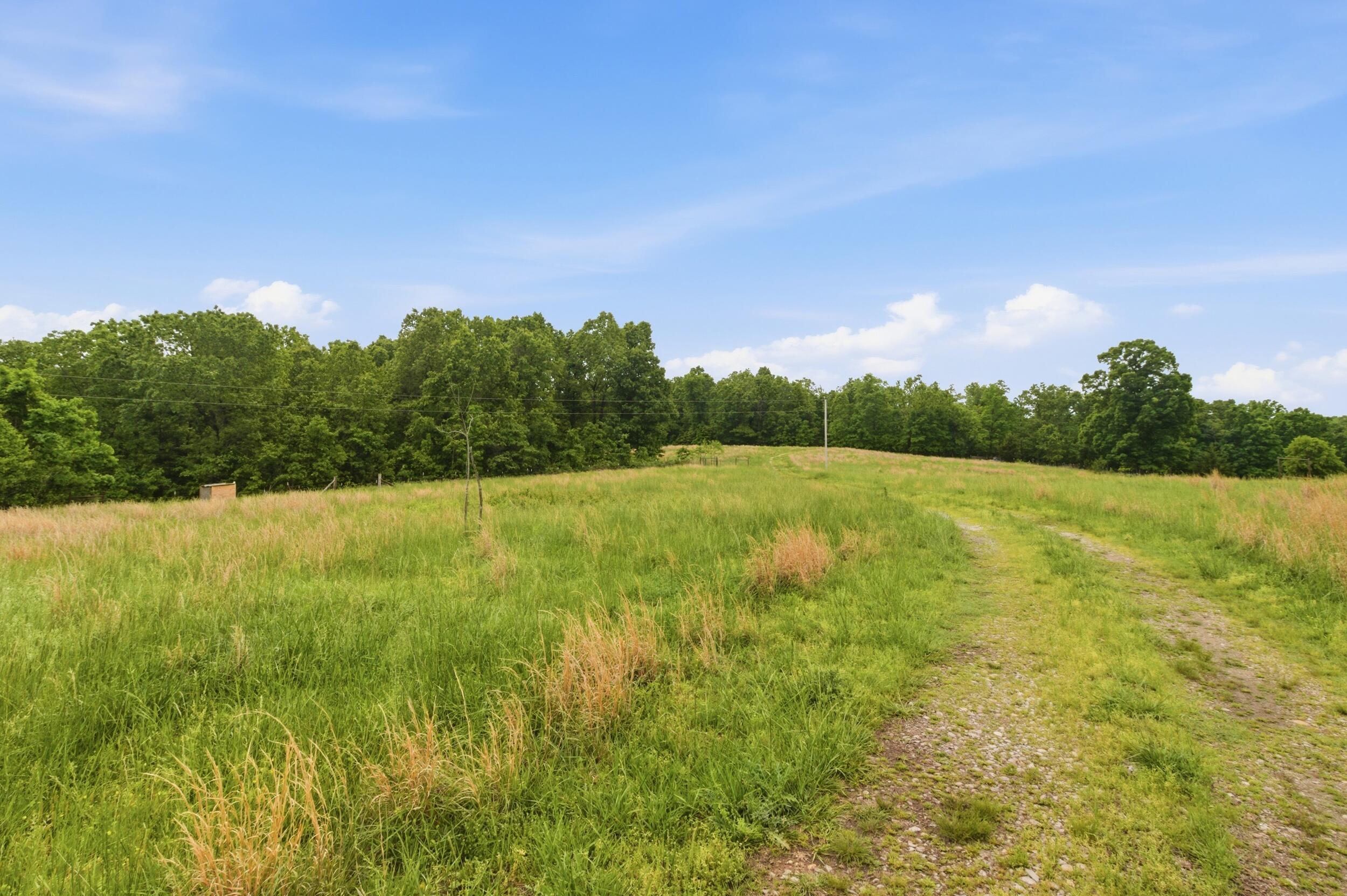 358 Co Road Caulfield, MO 65626 - Photo 56 of 74 img_0217