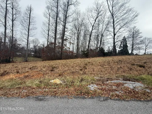 $25,000 | Lot #6 Oak Point Drive, Jonesville, VA 24263