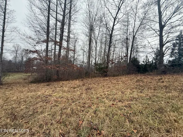 $25,000 | Lot #6 Oak Point Drive, Jonesville, VA 24263