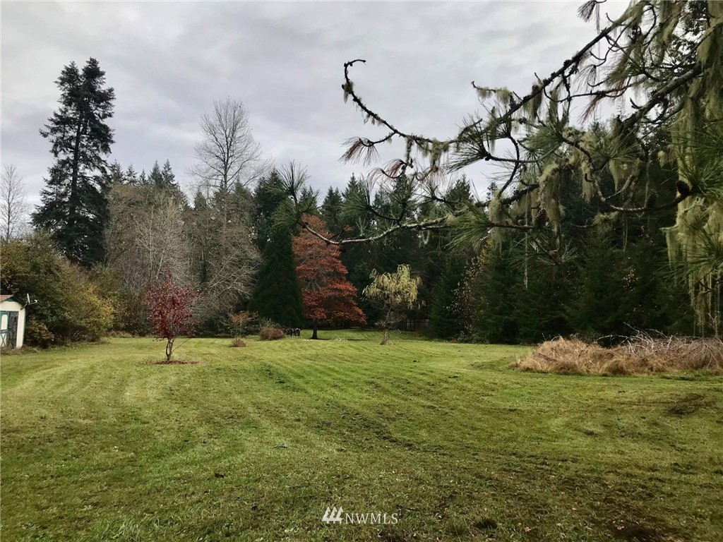 217 Satsop Riviera Loop Elma, WA 98541 - Photo 1 of 26 Gallery Image 1