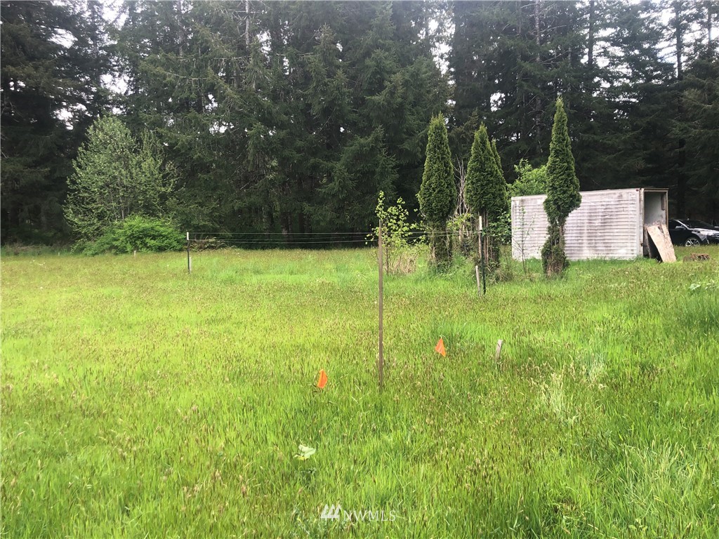 217 Satsop Riviera Loop Elma, WA 98541 - Photo 19 of 26 Gallery Image 19