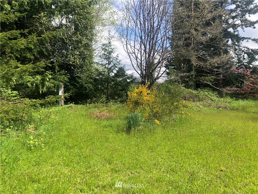 217 Satsop Riviera Loop Elma, WA 98541 - Photo 5 of 26 Gallery Image 5