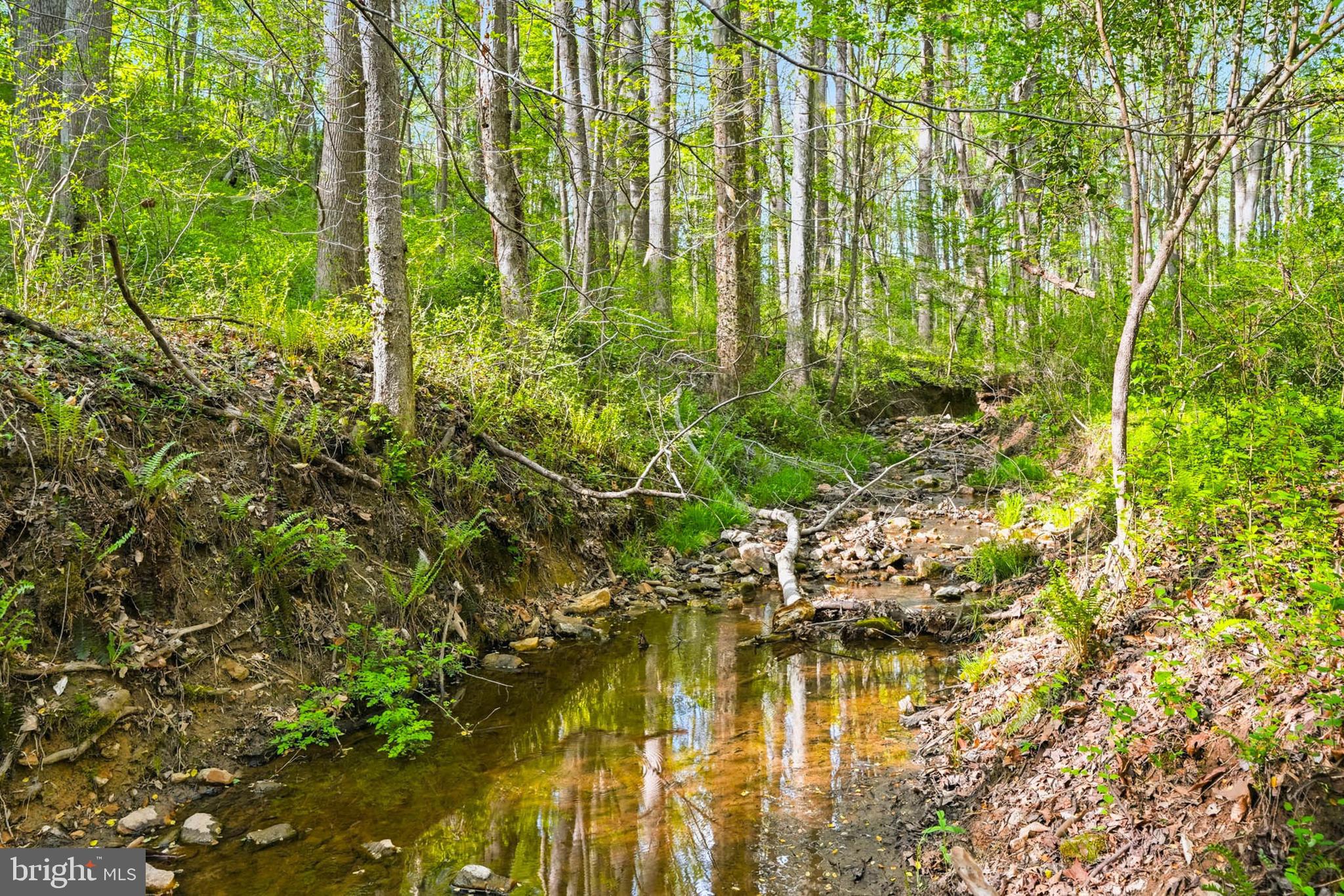 7049 Mink Hollow Road Highland, MD 20777 - Photo 19 of 72 Two creeks on the property