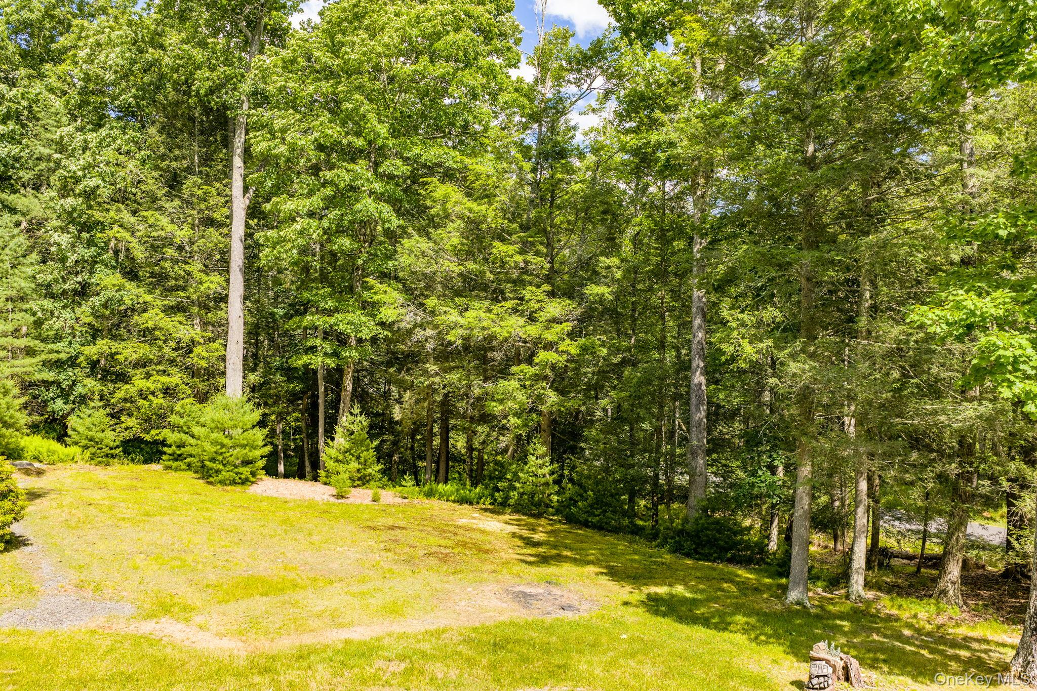 17 Collins Road Eldred, NY 12732 - Photo 24 of 37