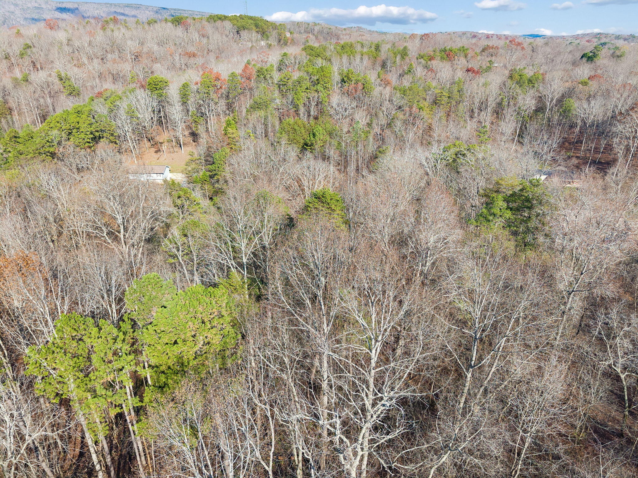 760 Green Pond Road Soddy Daisy, TN 37379 - Photo 15 of 22 14-760 Green Pond Rd Soddy-Daisy - 014