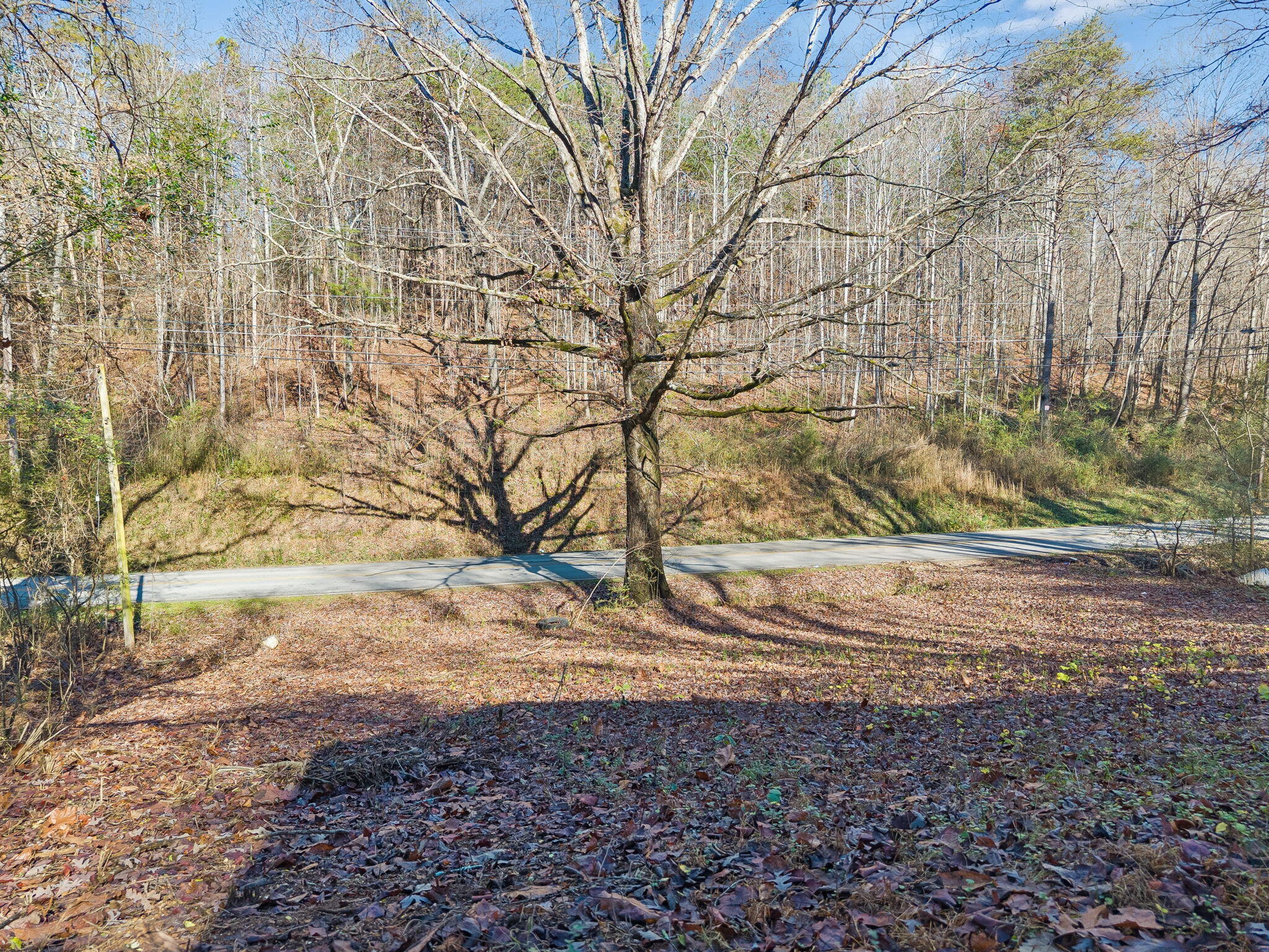 760 Green Pond Road Soddy Daisy, TN 37379 - Photo 7 of 22 6-760 Green Pond Rd Soddy-Daisy - 006