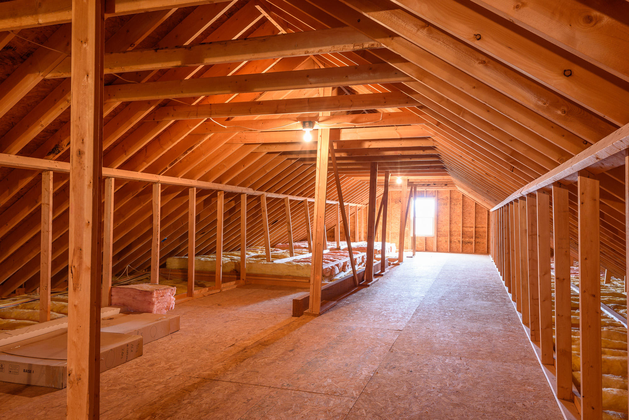 733 Hargis Road Signal Mountain, TN 37377 - Photo 22 of 29 Huge floored attic