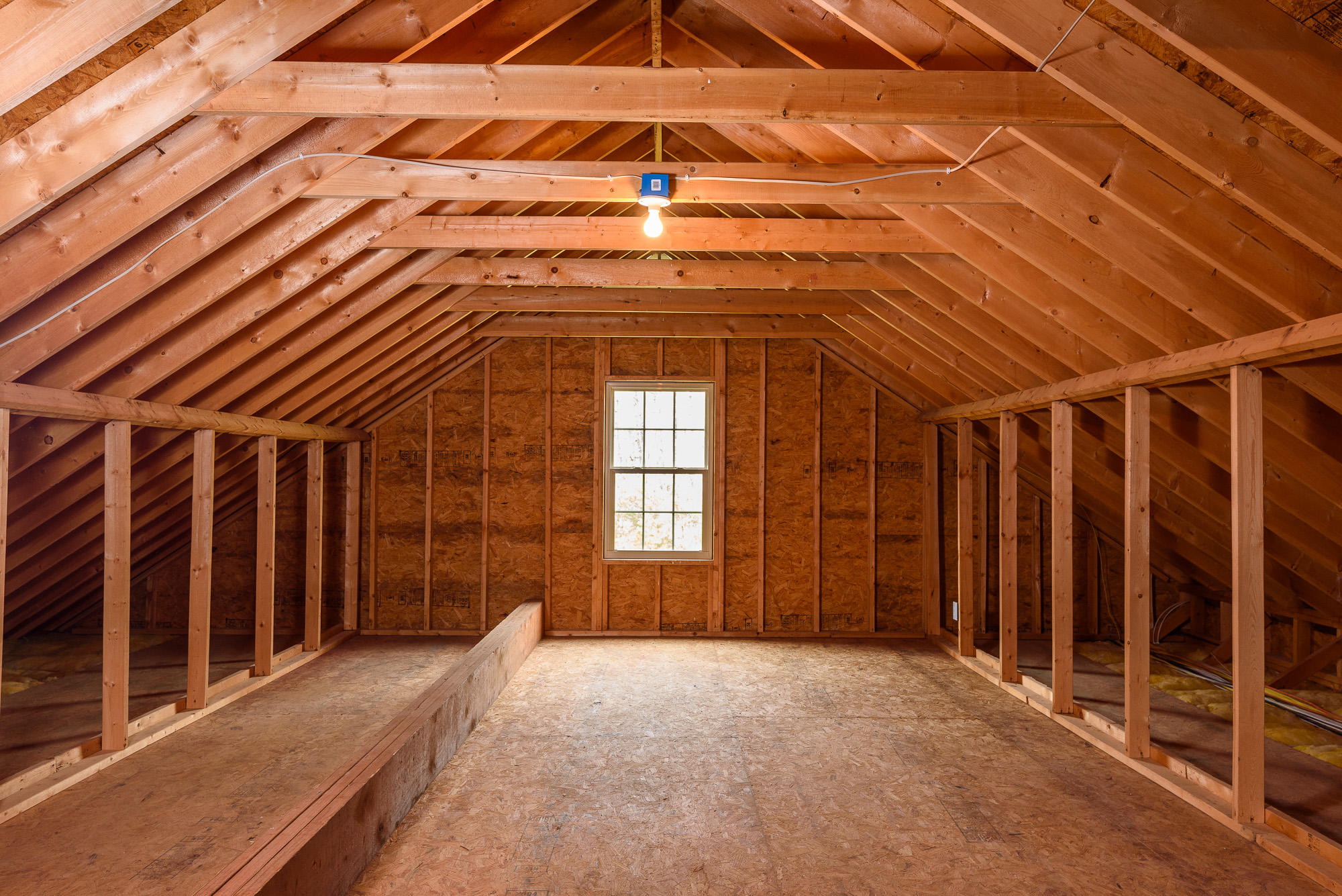 733 Hargis Road Signal Mountain, TN 37377 - Photo 23 of 29 Huge floored attic