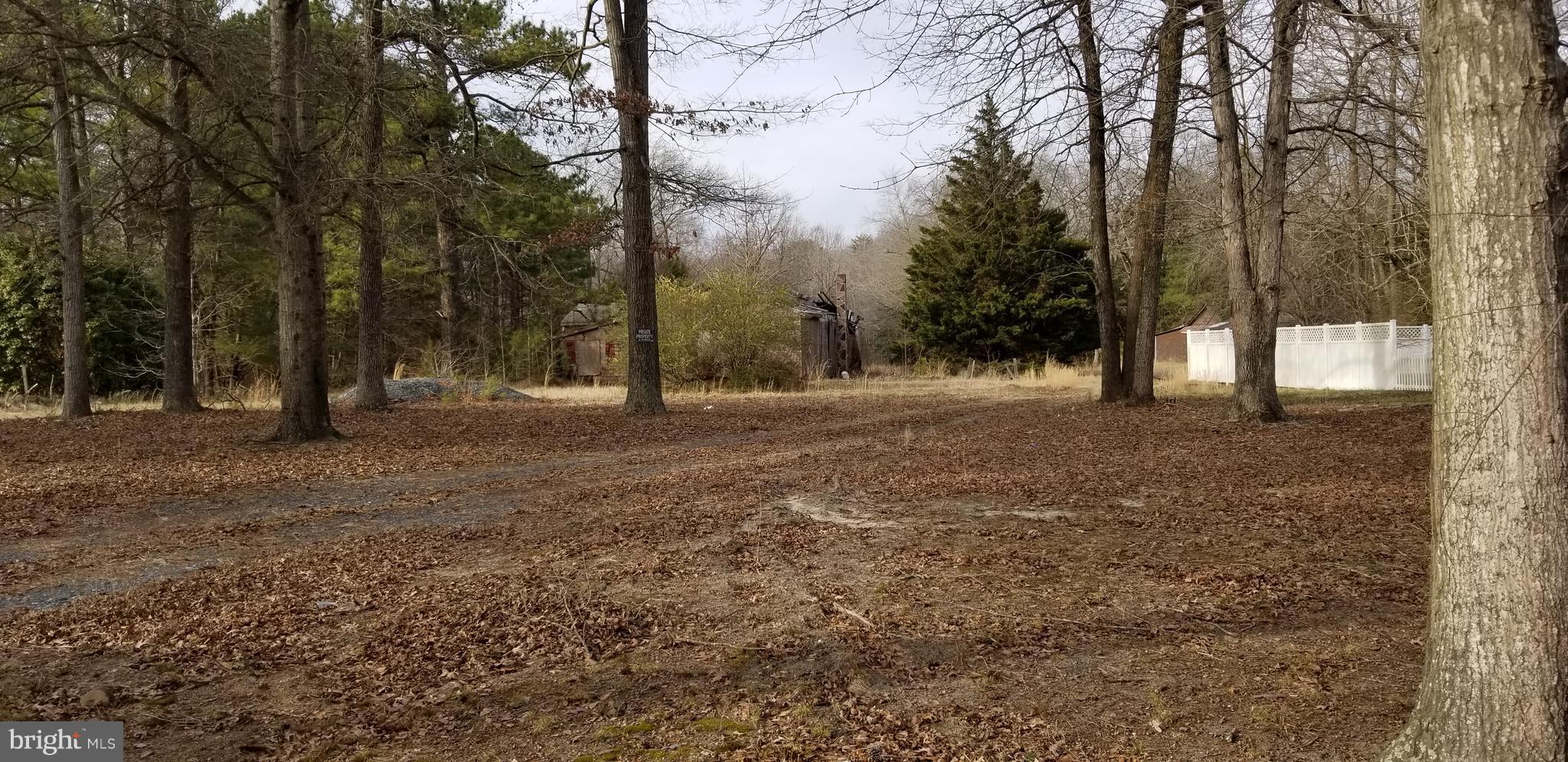 9651 Tharp Road Seaford, DE 19973 - Photo 11 of 19