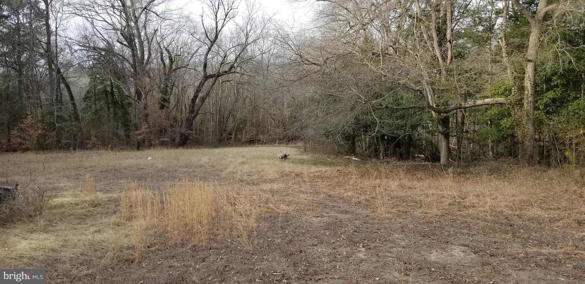 9651 Tharp Road Seaford, DE 19973 - Photo 12 of 19