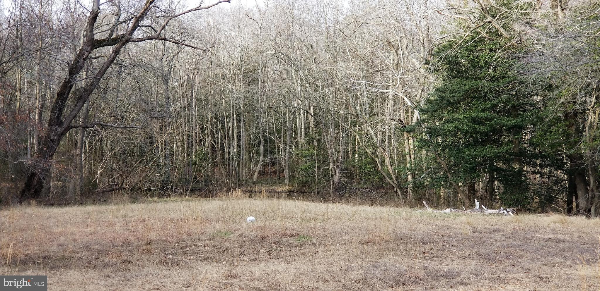 9651 Tharp Road Seaford, DE 19973 - Photo 15 of 19