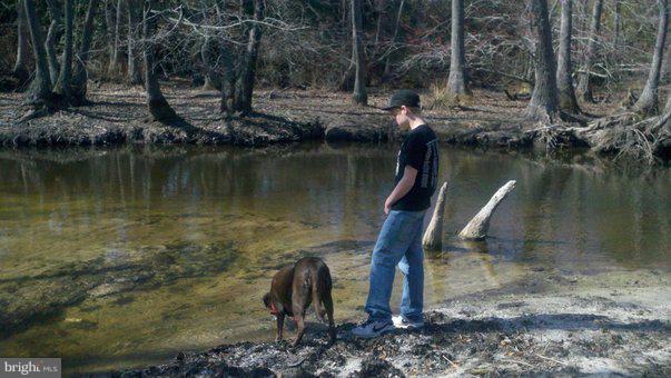 9651 Tharp Road Seaford, DE 19973 - Photo 17 of 19