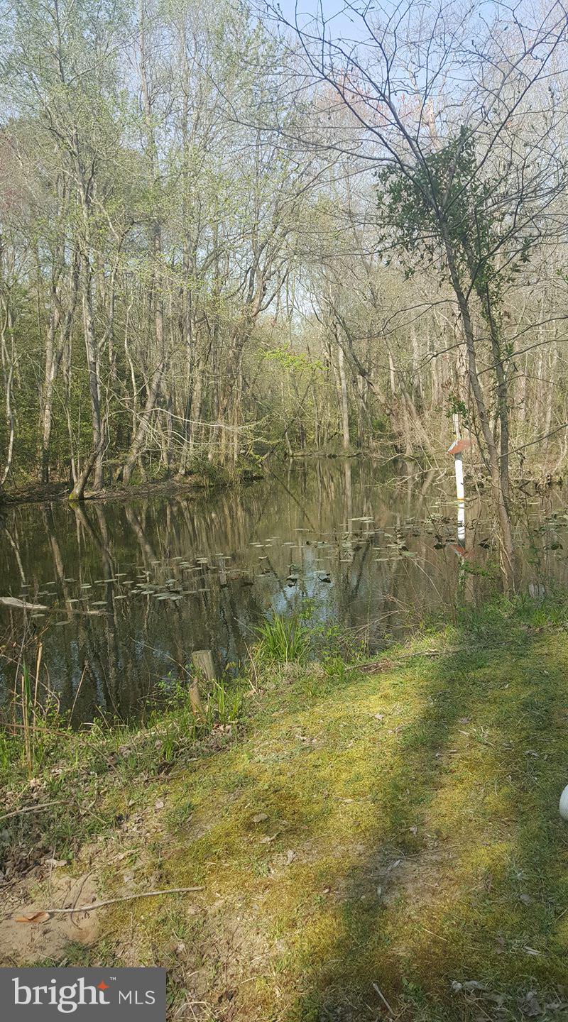 9651 Tharp Road Seaford, DE 19973 - Photo 18 of 19