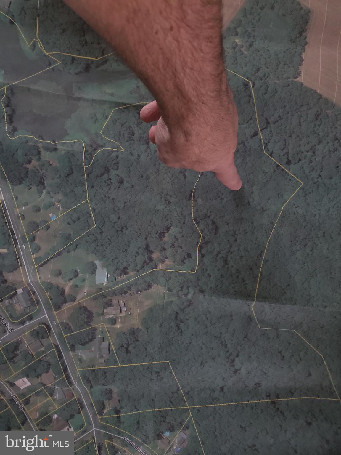 9651 Tharp Road Seaford, DE 19973 - Photo 19 of 19