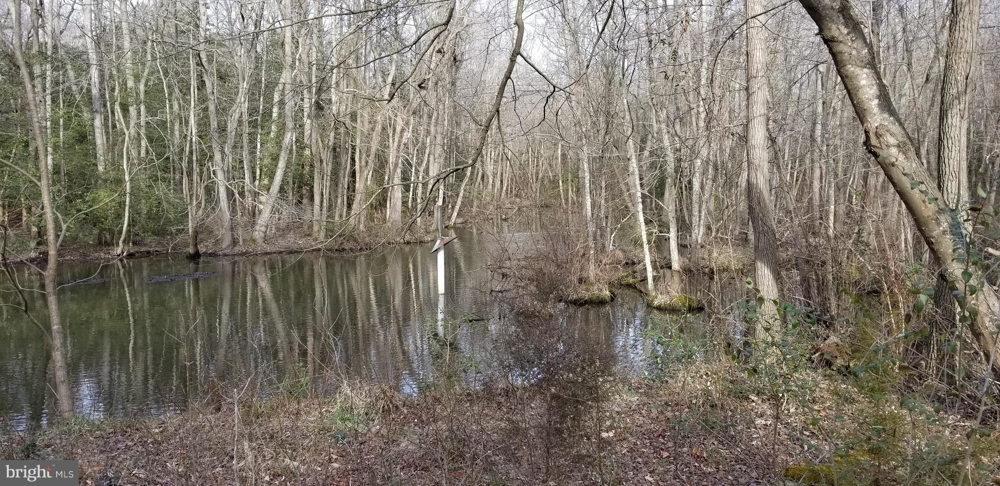 9651 Tharp Road Seaford, DE 19973 - Photo 2 of 19