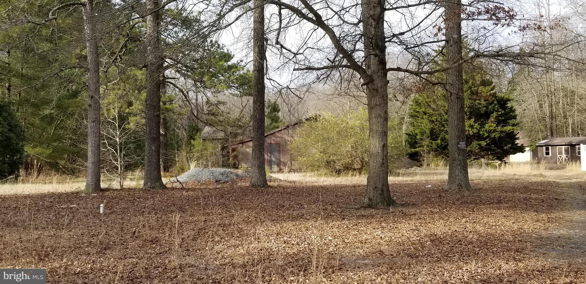 9651 Tharp Road Seaford, DE 19973 - Photo 4 of 19