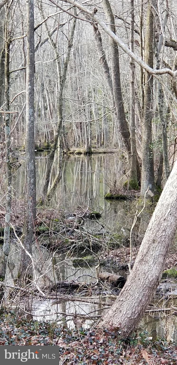 9651 Tharp Road Seaford, DE 19973 - Photo 5 of 19