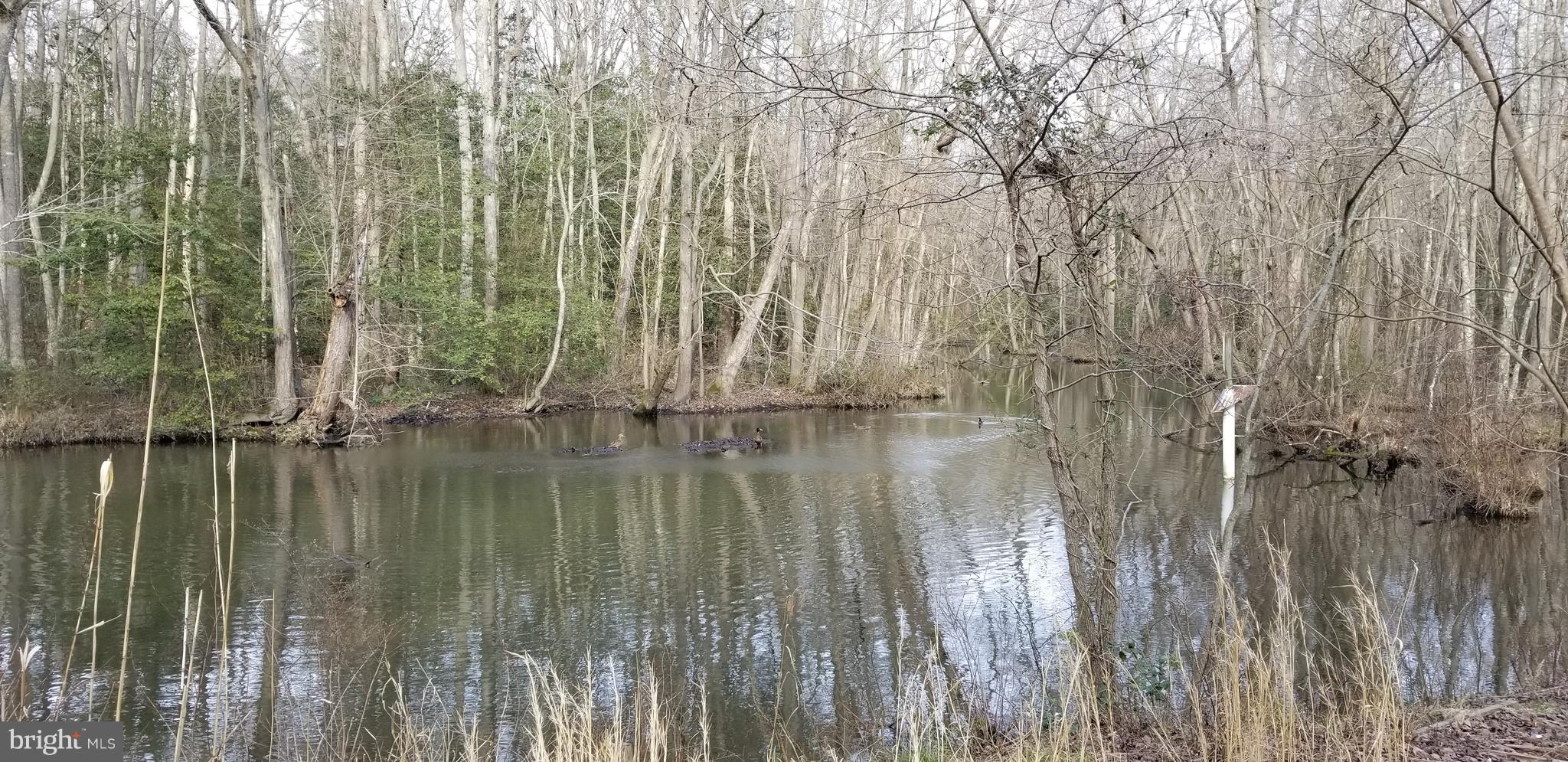 9651 Tharp Road Seaford, DE 19973 - Photo 6 of 19