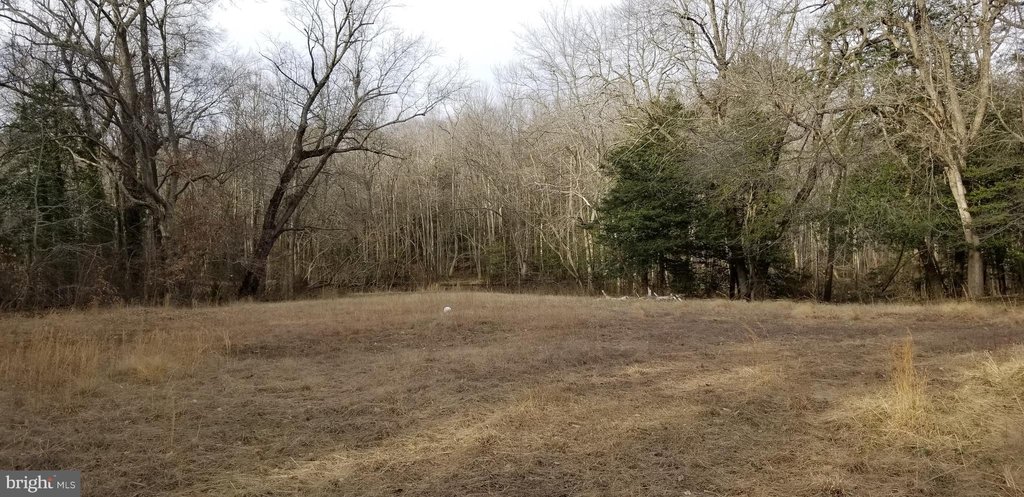 9651 Tharp Road Seaford, DE 19973 - Photo 7 of 19