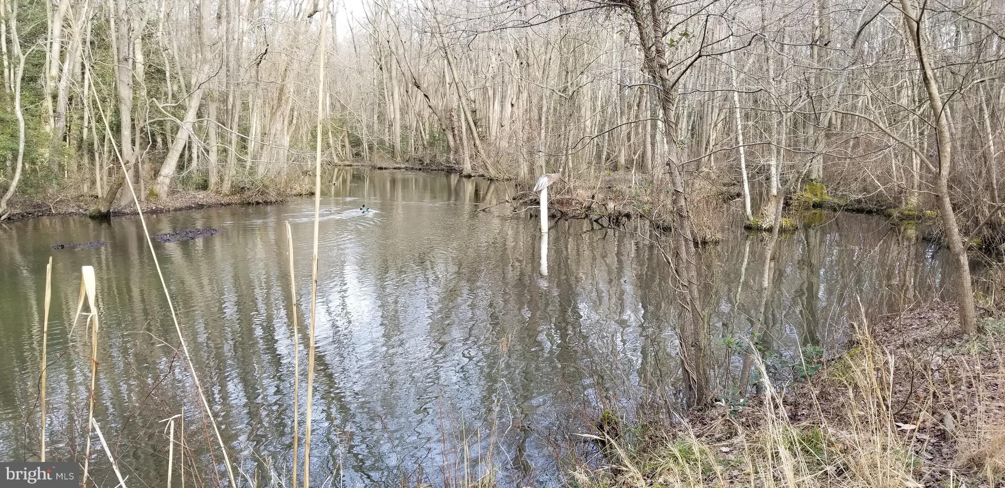 9651 Tharp Road Seaford, DE 19973 - Photo 8 of 19