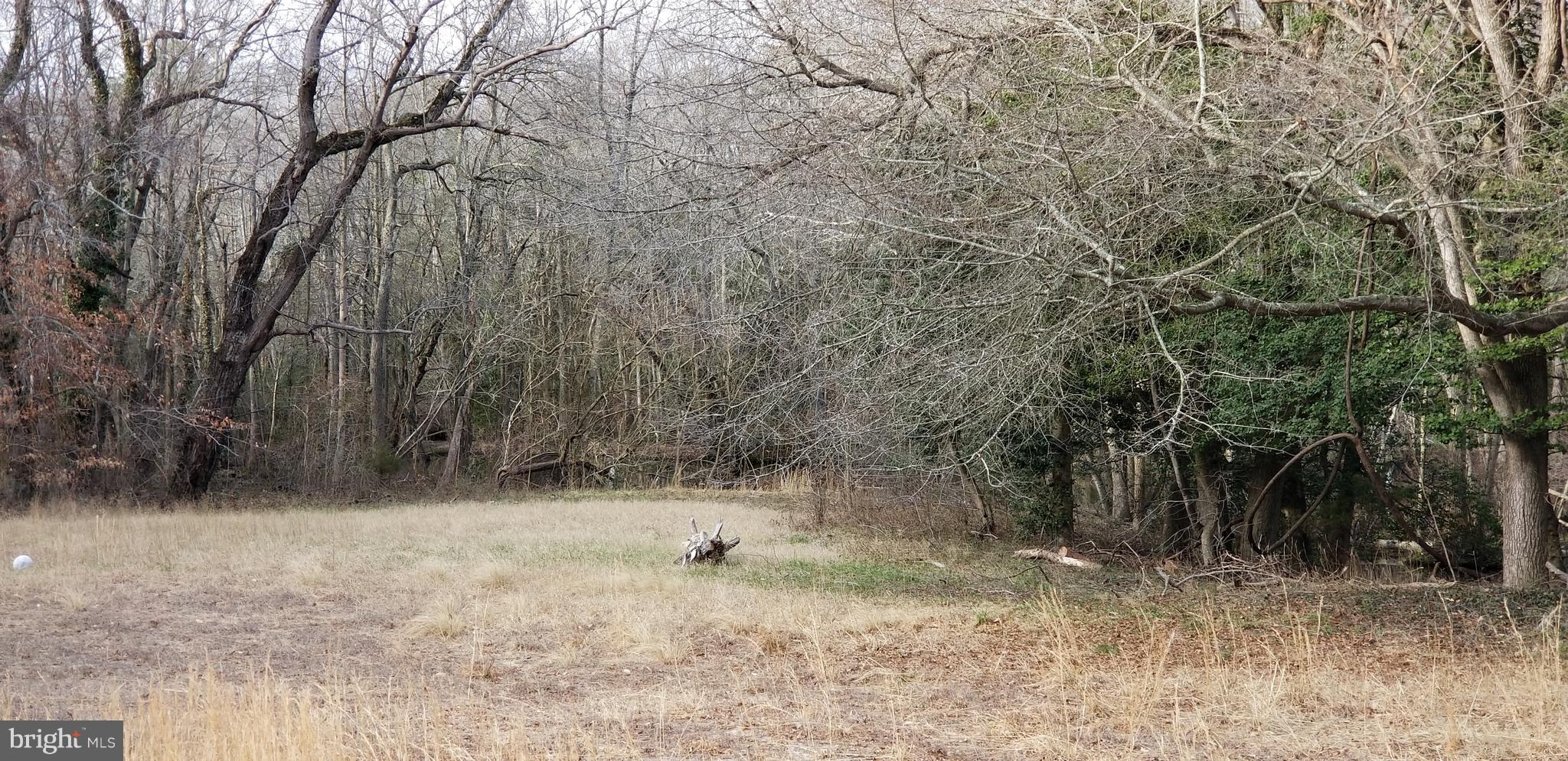 9651 Tharp Road Seaford, DE 19973 - Photo 9 of 19