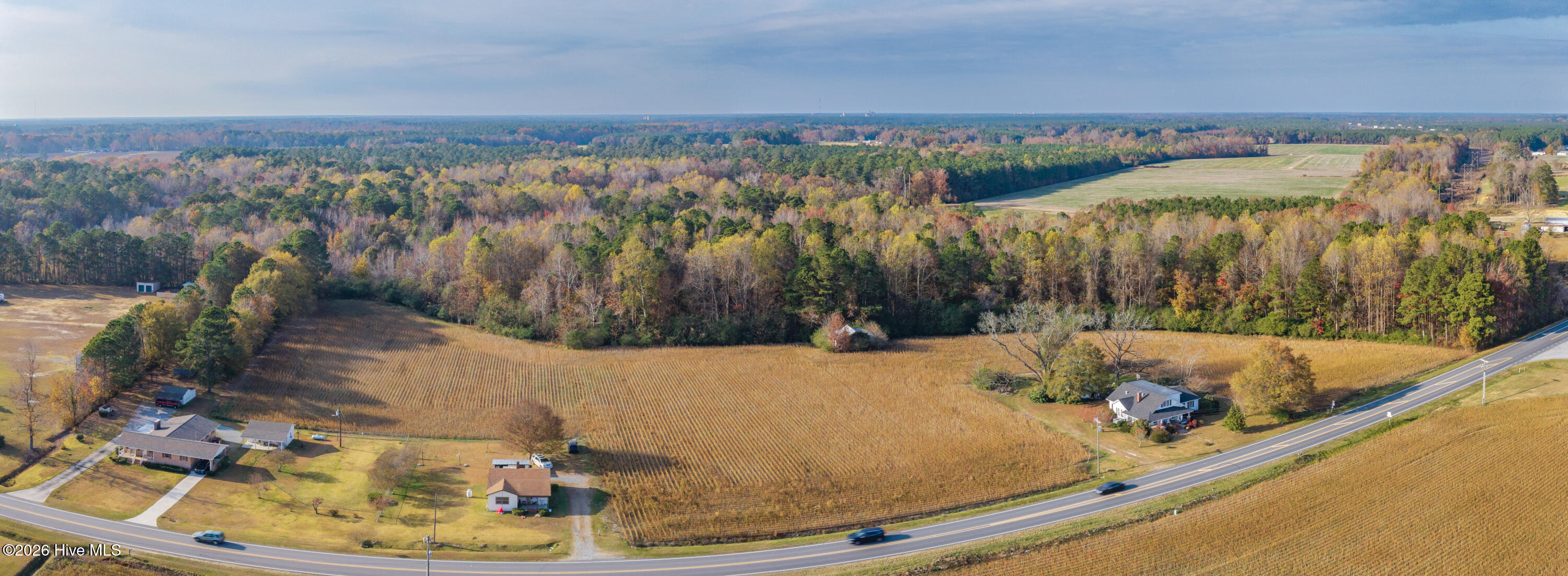 41.5-acres High School Road Teachey, NC 28464 - Photo 17 of 20 Gallery Image 17