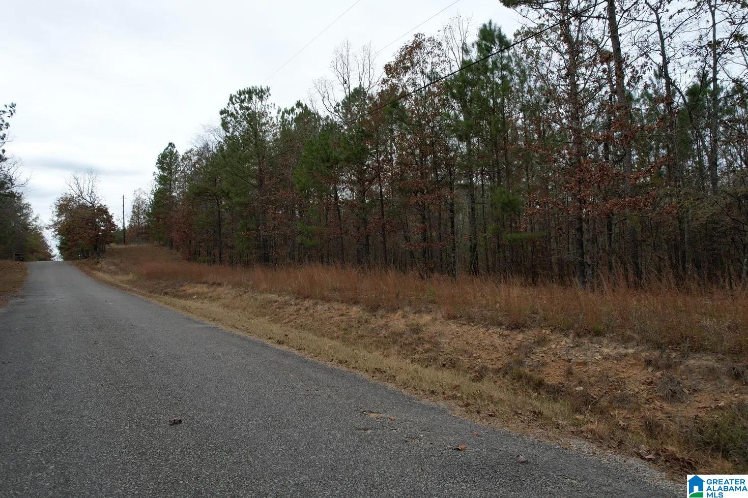 393 Siler Road Piedmont, AL 36272 - Photo 6 of 14