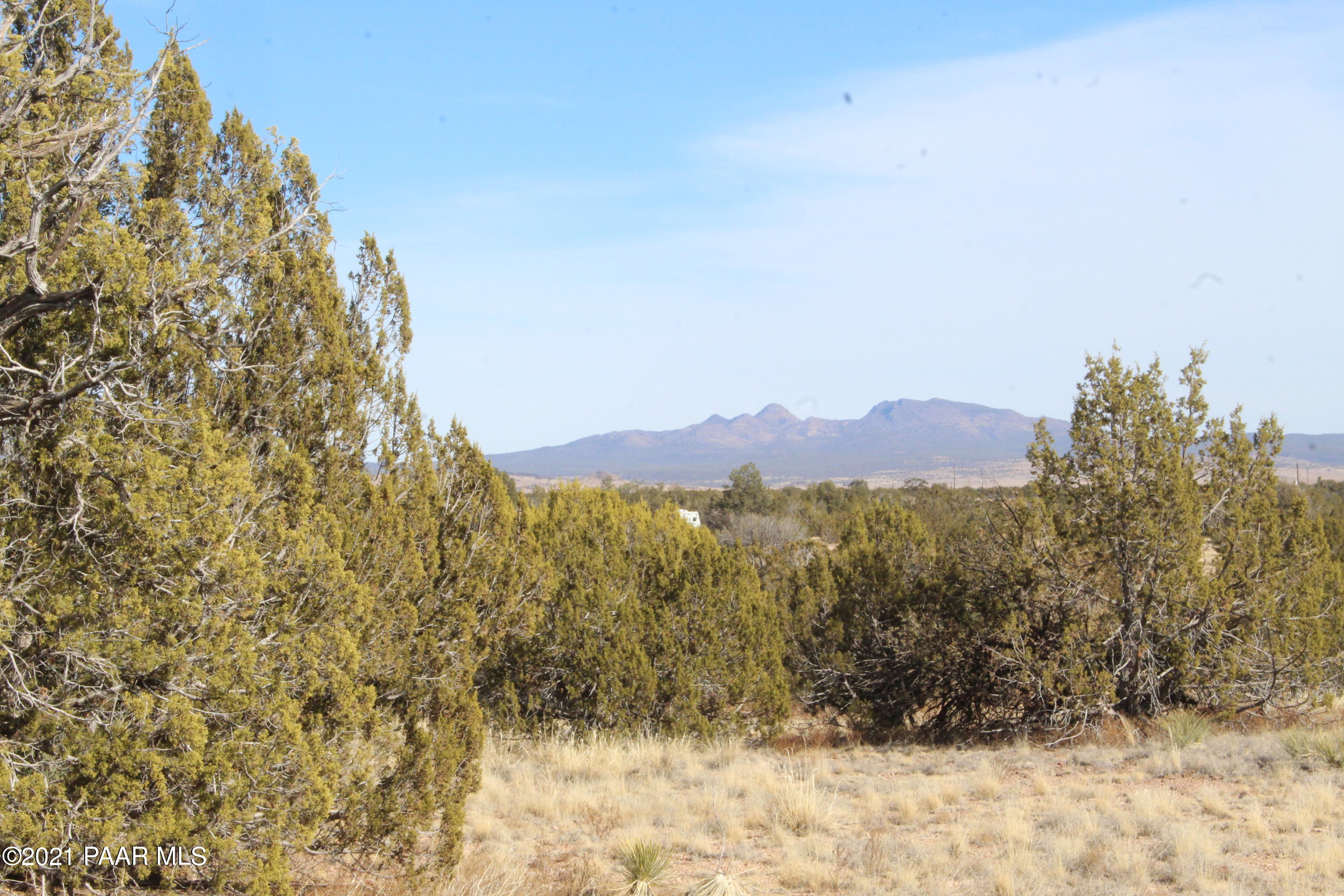 26475 Fort Rock Road Seligman, AZ 86337 - Photo 3 of 9 IMG_7477