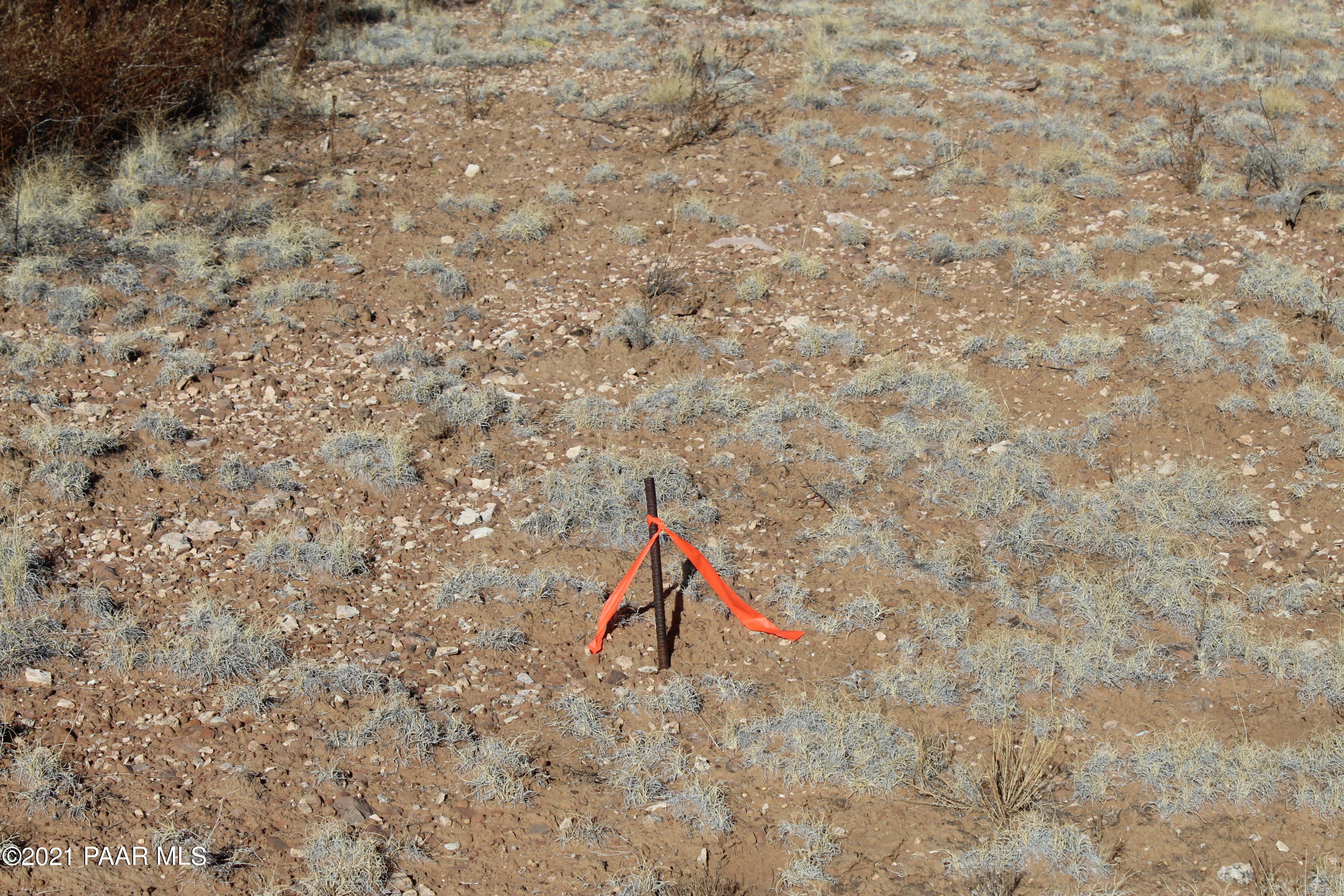 26475 Fort Rock Road Seligman, AZ 86337 - Photo 6 of 9 IMG_7483
