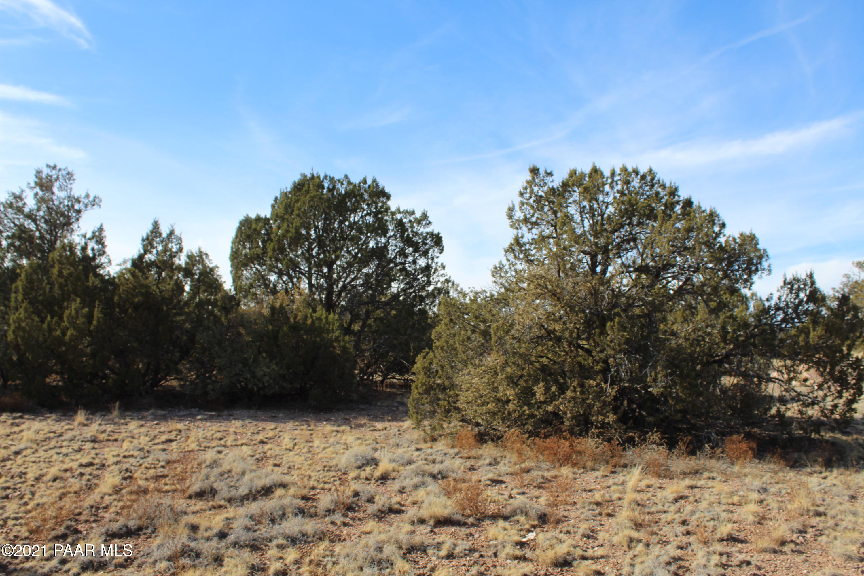 26475 Fort Rock Road Seligman, AZ 86337 - Photo 7 of 9 IMG_7485