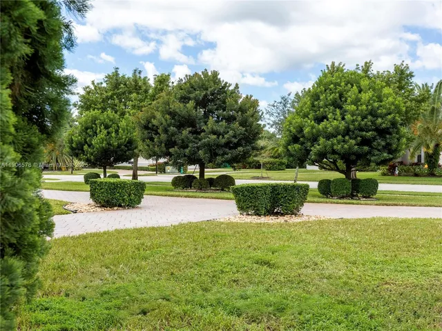 a view of a park with large trees