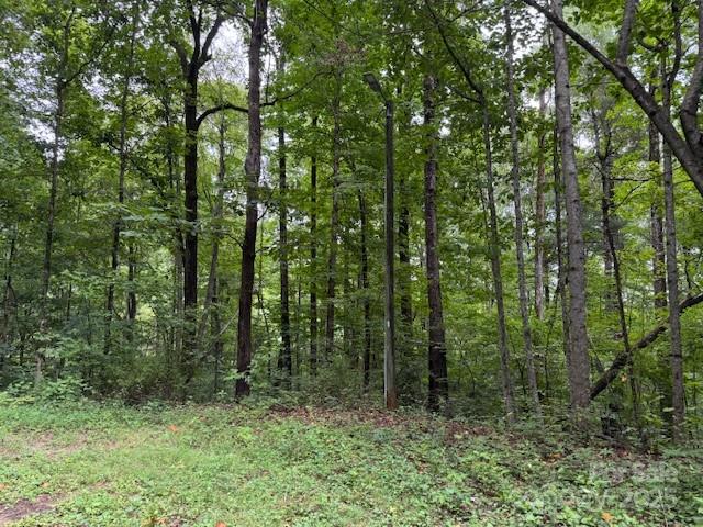 0 Orchard Mountain Road Saluda, NC 28773 - Photo 5 of 14 Gallery Image 5