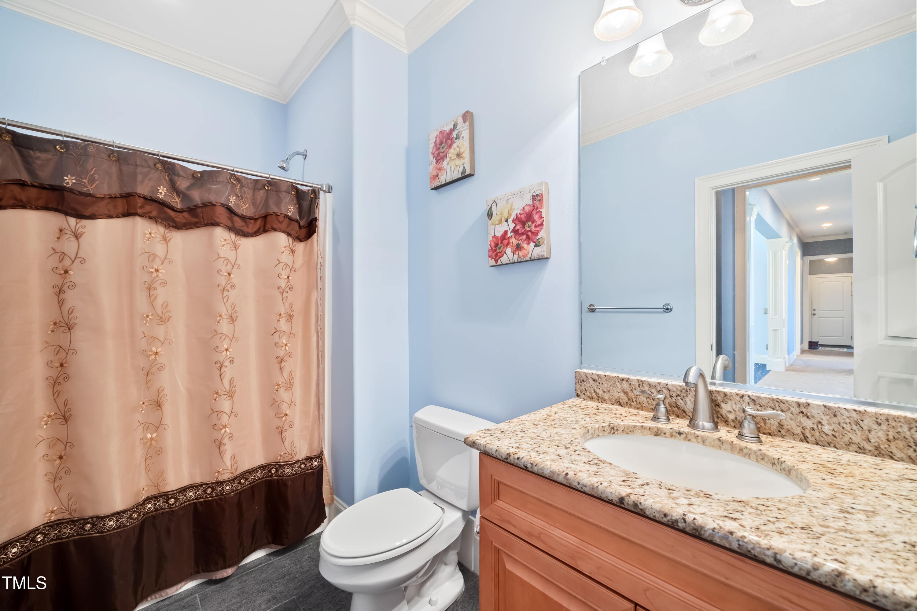 119 Cardinal Crest Pittsboro, NC 27312 - Photo 36 of 70 a bathroom with a granite countertop sink a toilet and a mirror