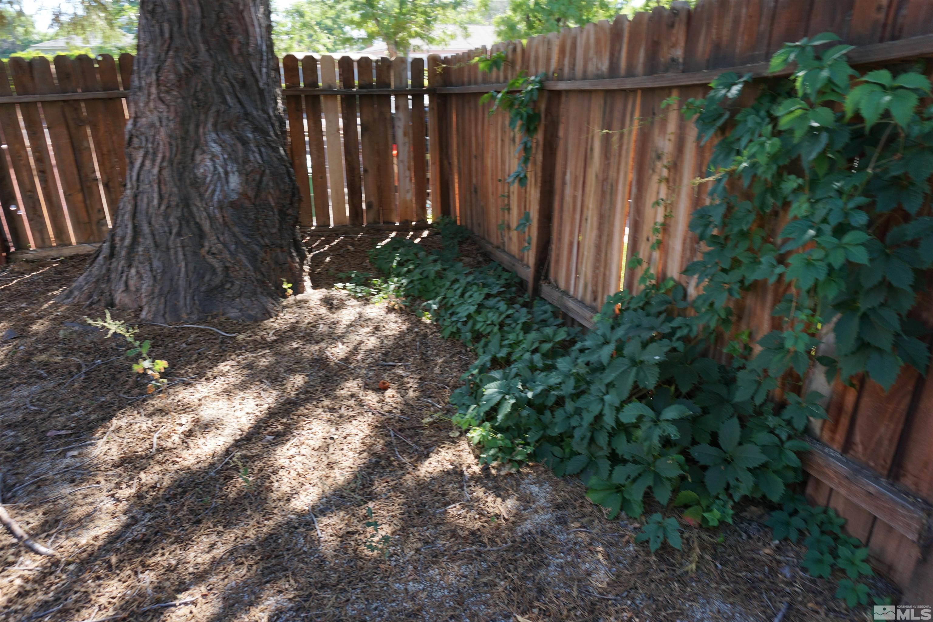 1501 Gault Way Sparks, NV 89431 - Photo 17 of 17 a backyard of a house with plants and wooden fence