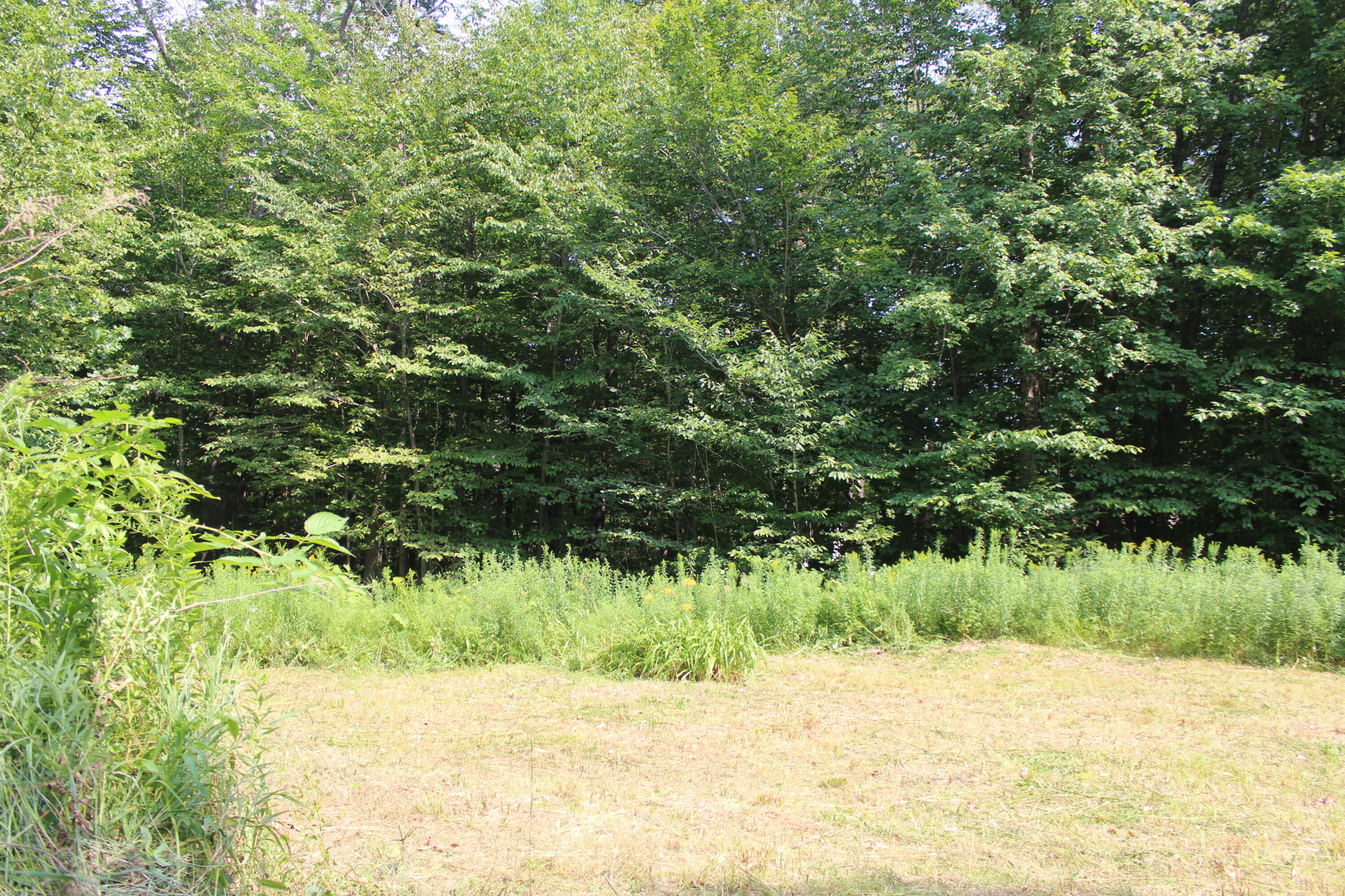 21 Shyannes Way Gorham, ME 04038 - Photo 6 of 9 IMG_9734