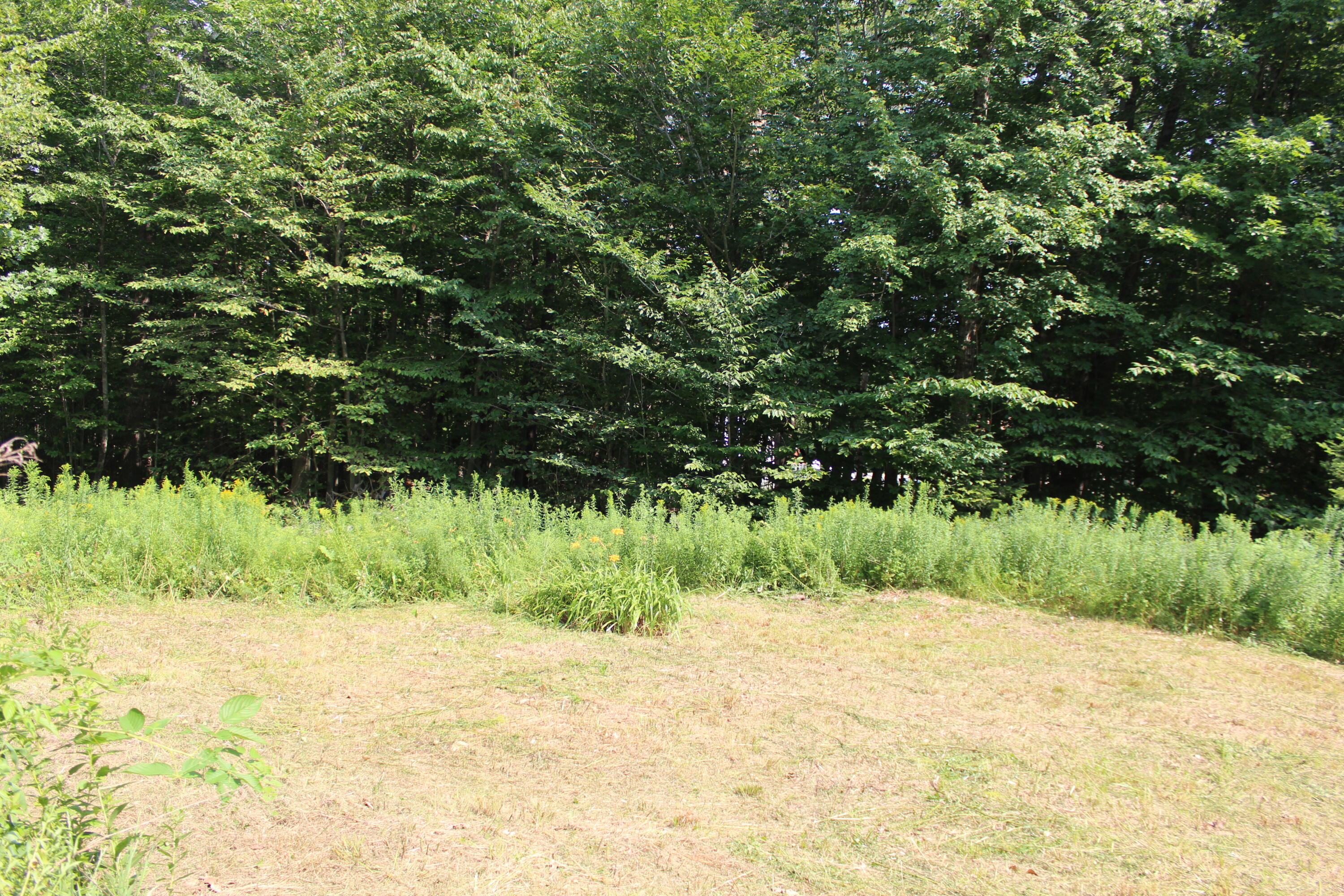 21 Shyannes Way Gorham, ME 04038 - Photo 7 of 9 IMG_9735