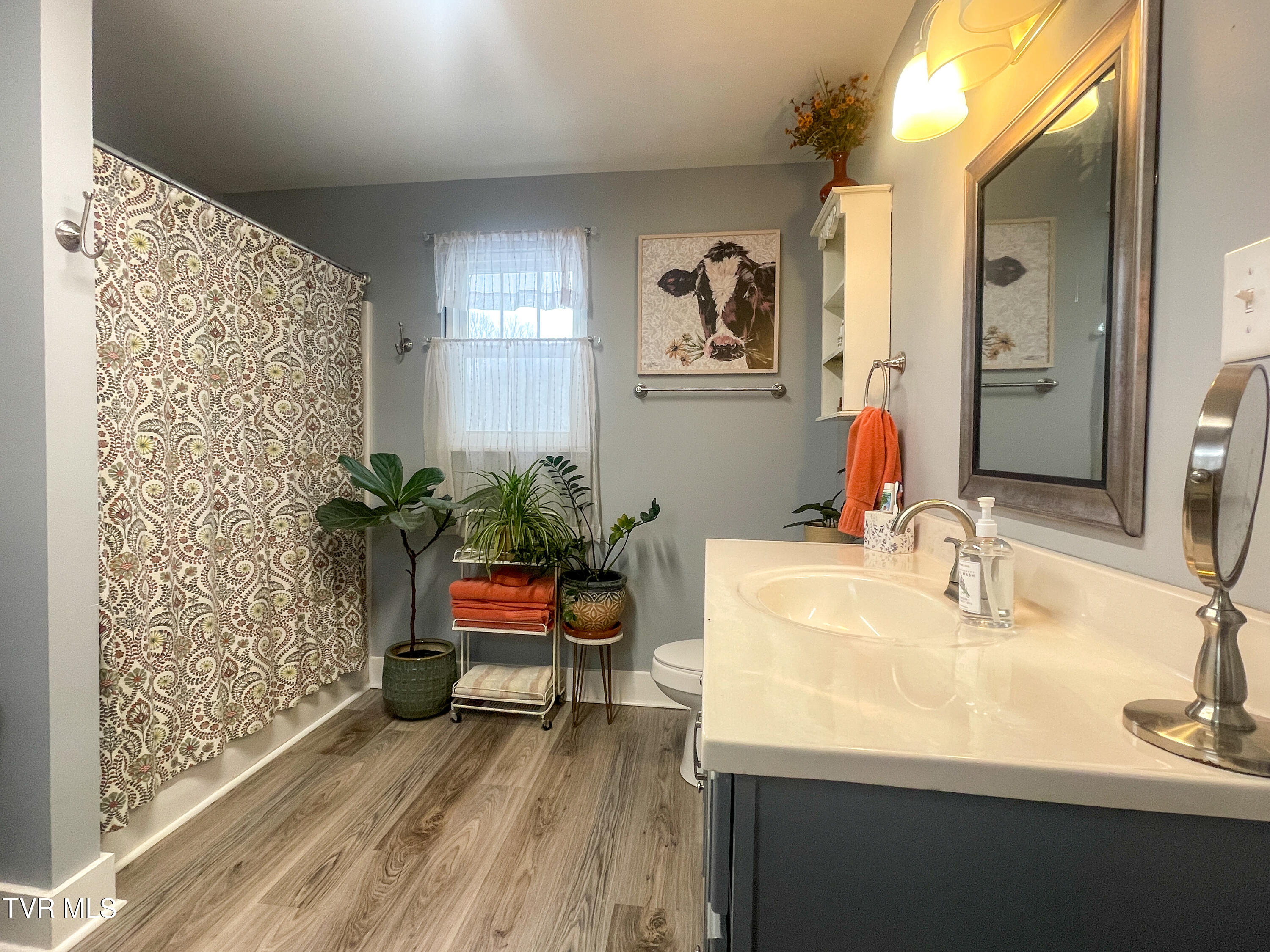 570 Anest Road Chuckey, TN 37641 - Photo 14 of 47 Bathroom
