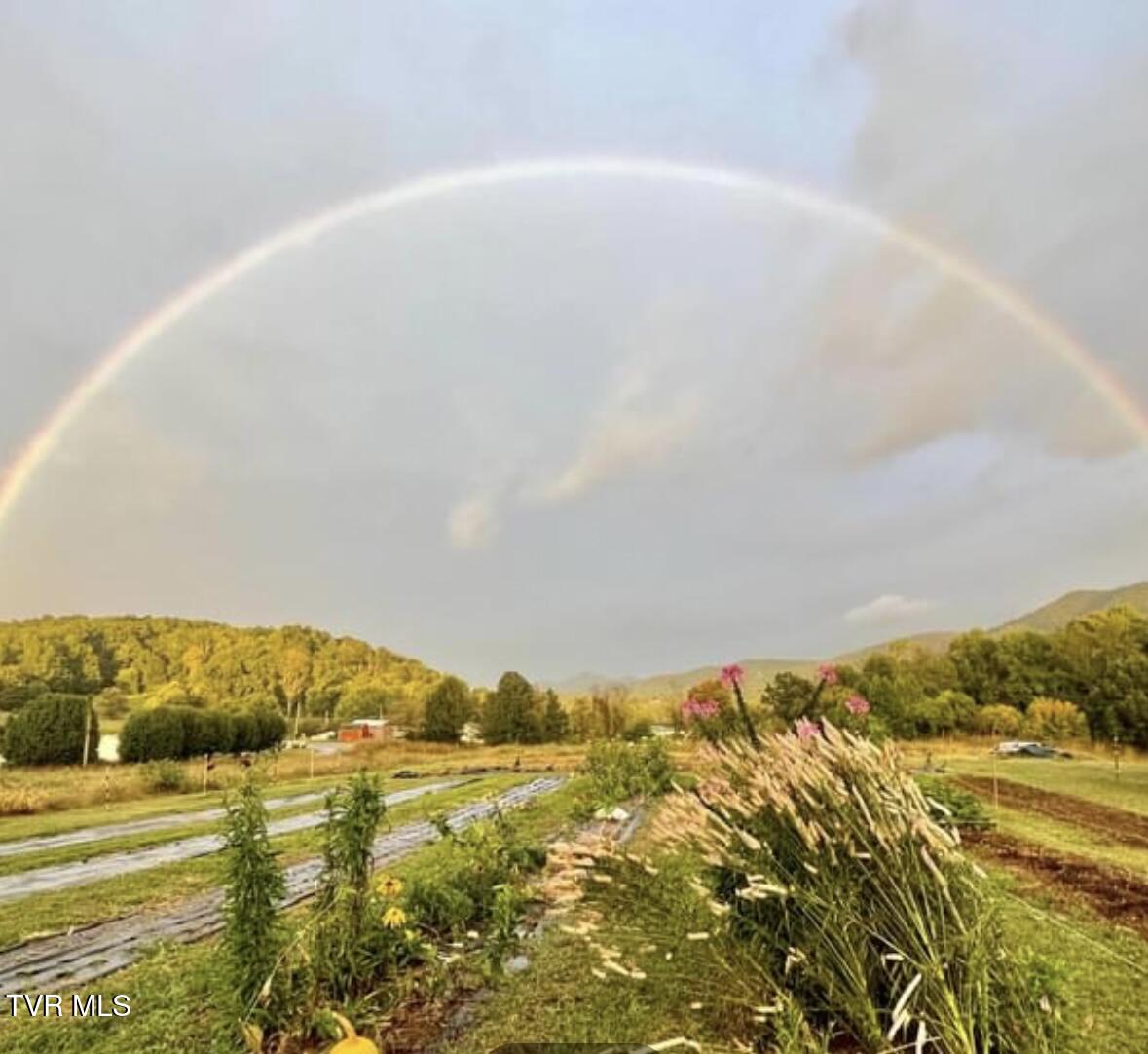 570 Anest Road Chuckey, TN 37641 - Photo 27 of 47 Rainbow