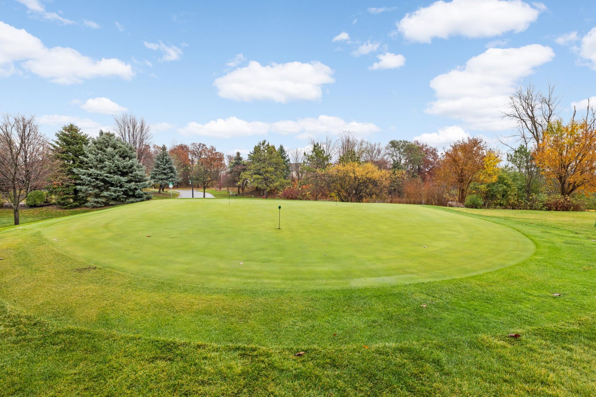 8079 Dana Path Inver Grove Heights, MN 55076 - Photo 47 of 51 Gallery Image 47