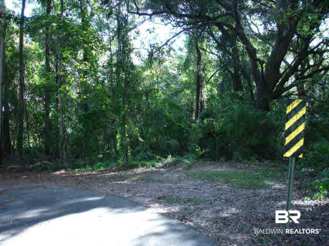 0 Franklin Road Foley, AL 36535 - Photo 11 of 18