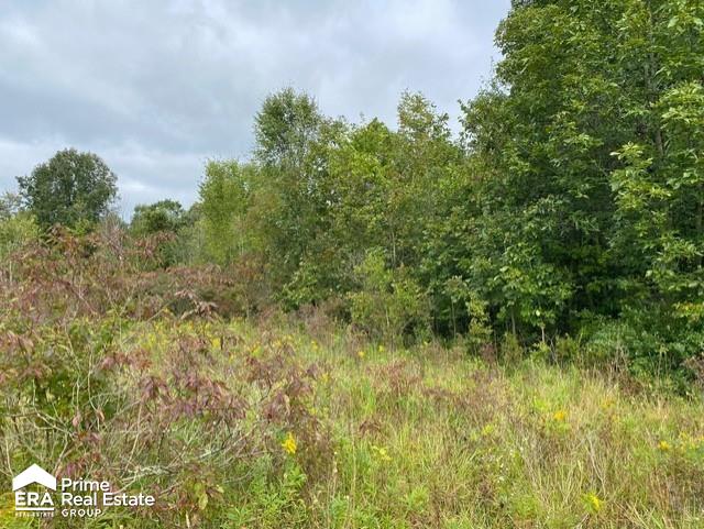 0 Belle River Road Allenton, MI 48002 - Photo 8 of 10