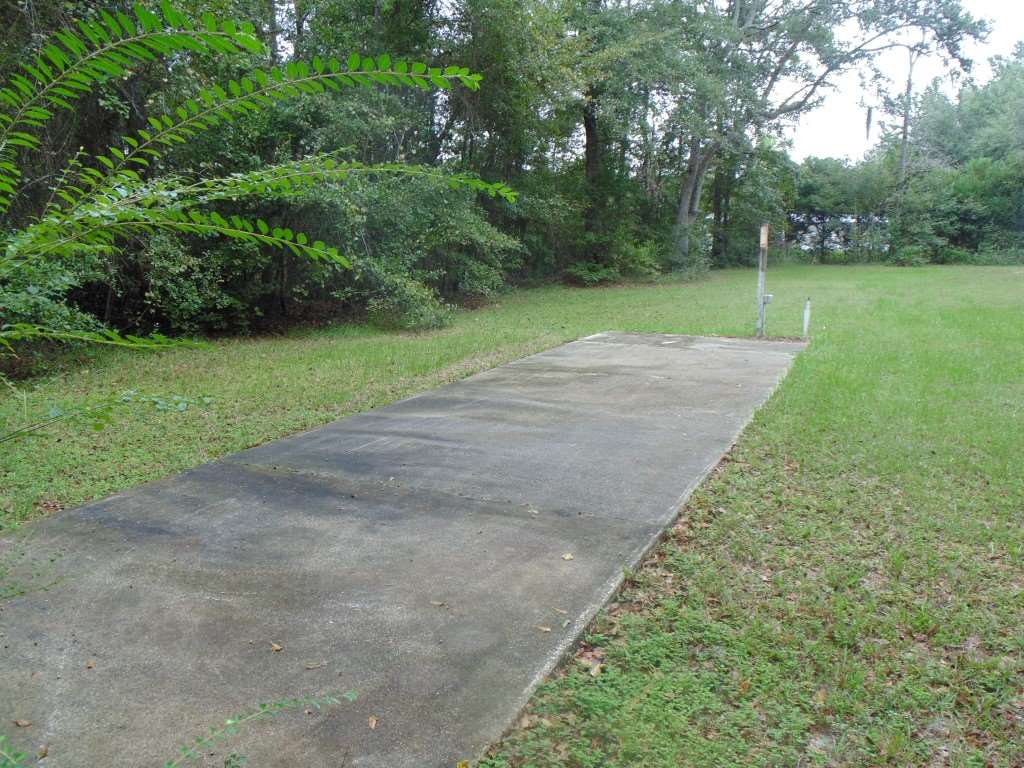 210 Pineview Road Monticello, FL 32344 - Photo 11 of 25 Gallery Image 11