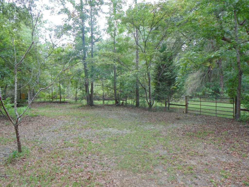 210 Pineview Road Monticello, FL 32344 - Photo 10 of 25 Gallery Image 10
