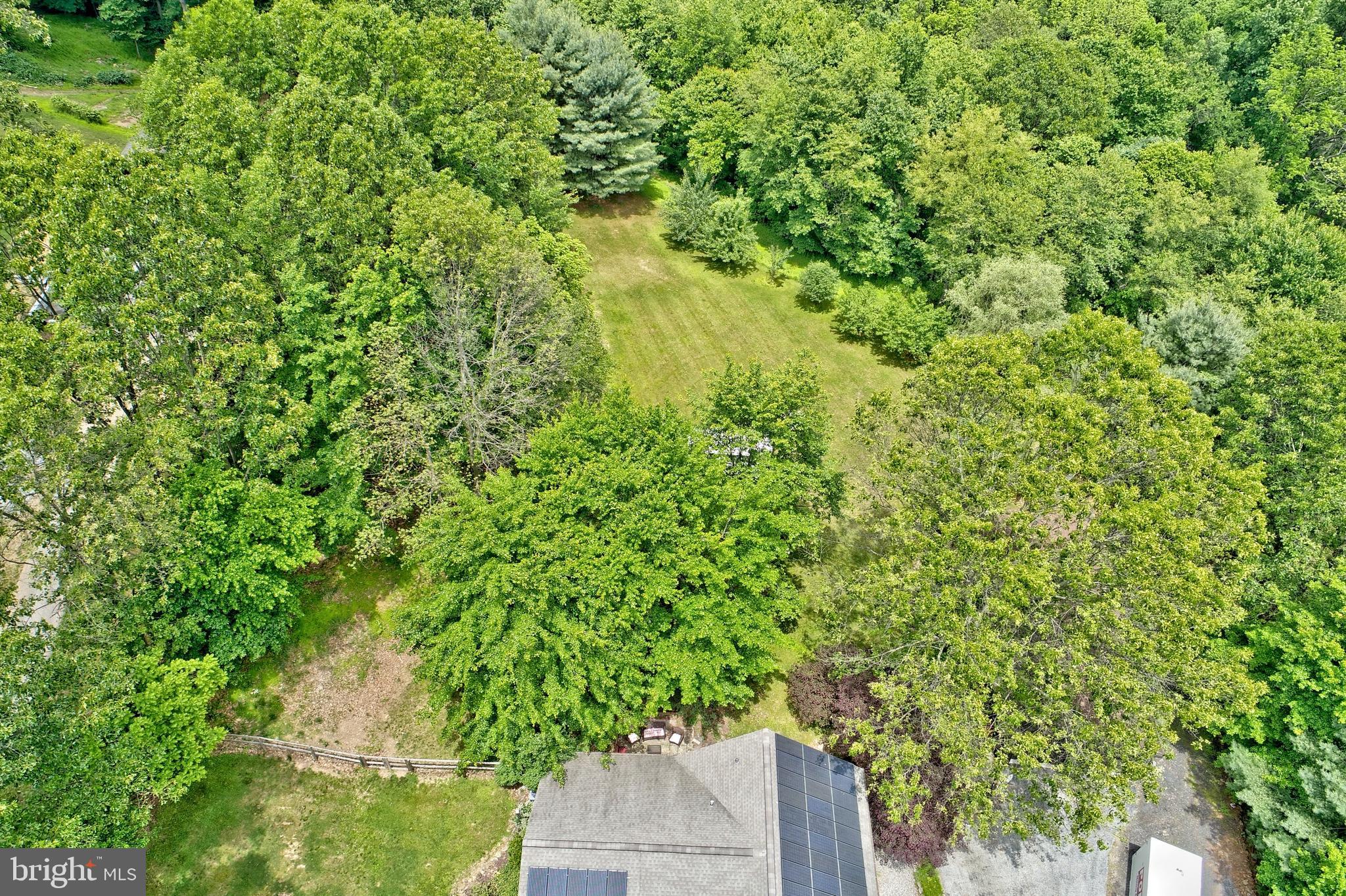 19991 Dutton Road Stewartstown, PA 17363 - Photo 15 of 61 Level yard leading to wooded trails